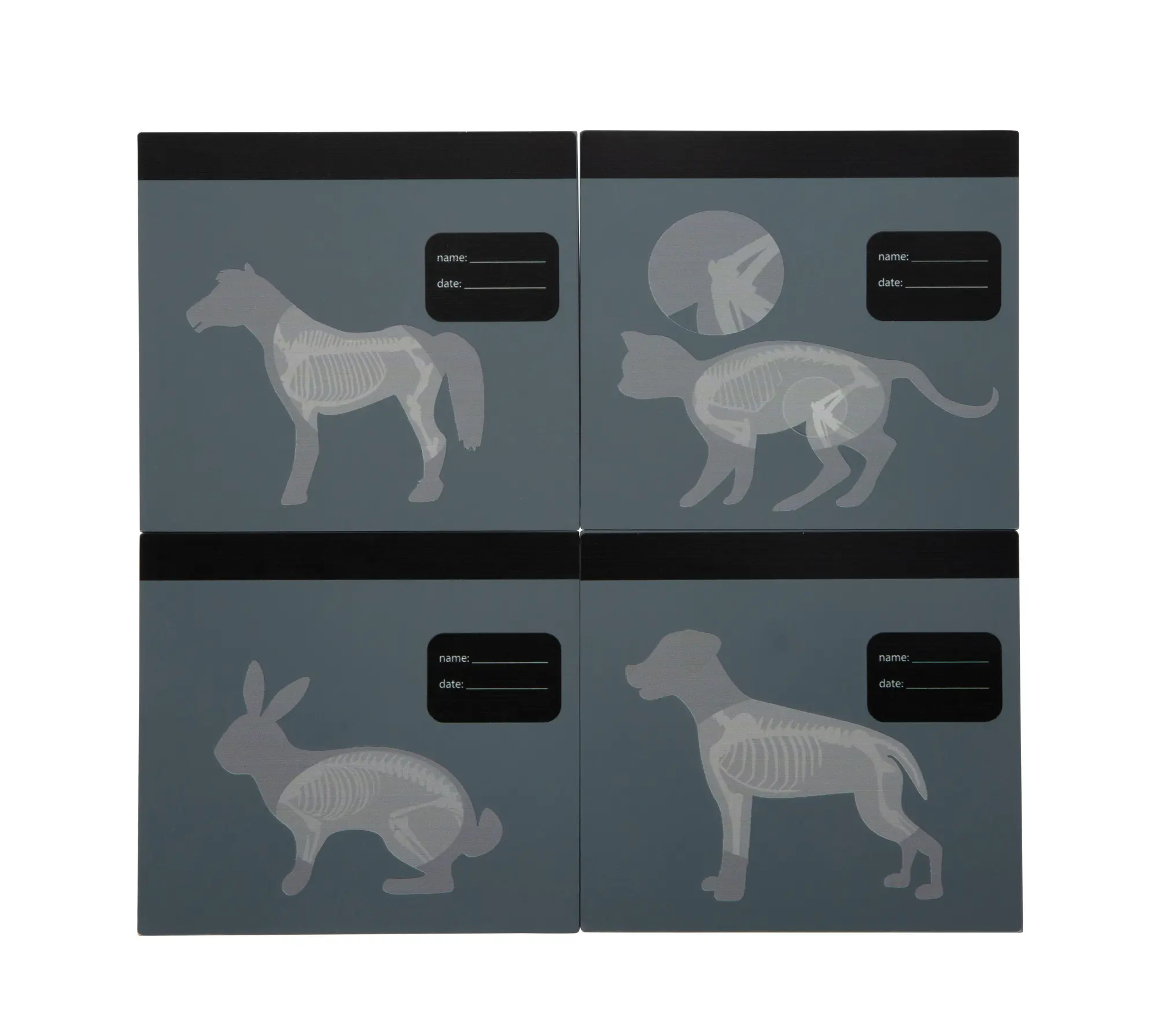 Bild: 4020972127372 | Tierarzt-Tasche mit Hase | 12737 | Deutsch | 2026 | EAN 4020972127372