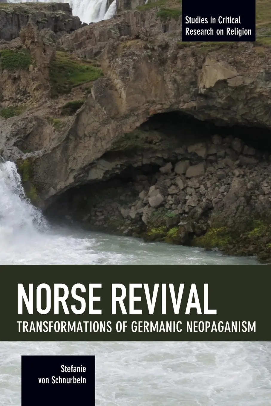Cover: 9781608467372 | Norse Revival: Transformations Of Germanic Neopaganism | Schnurbein