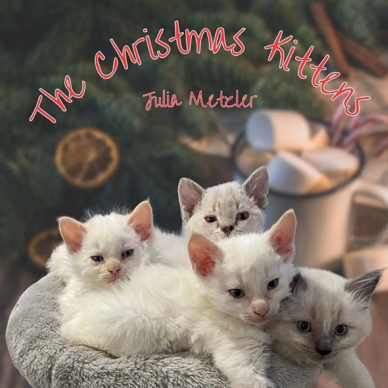 Cover: 9781778137372 | The Christmas Kittens | Julia Metzler | Taschenbuch | Englisch | 2023