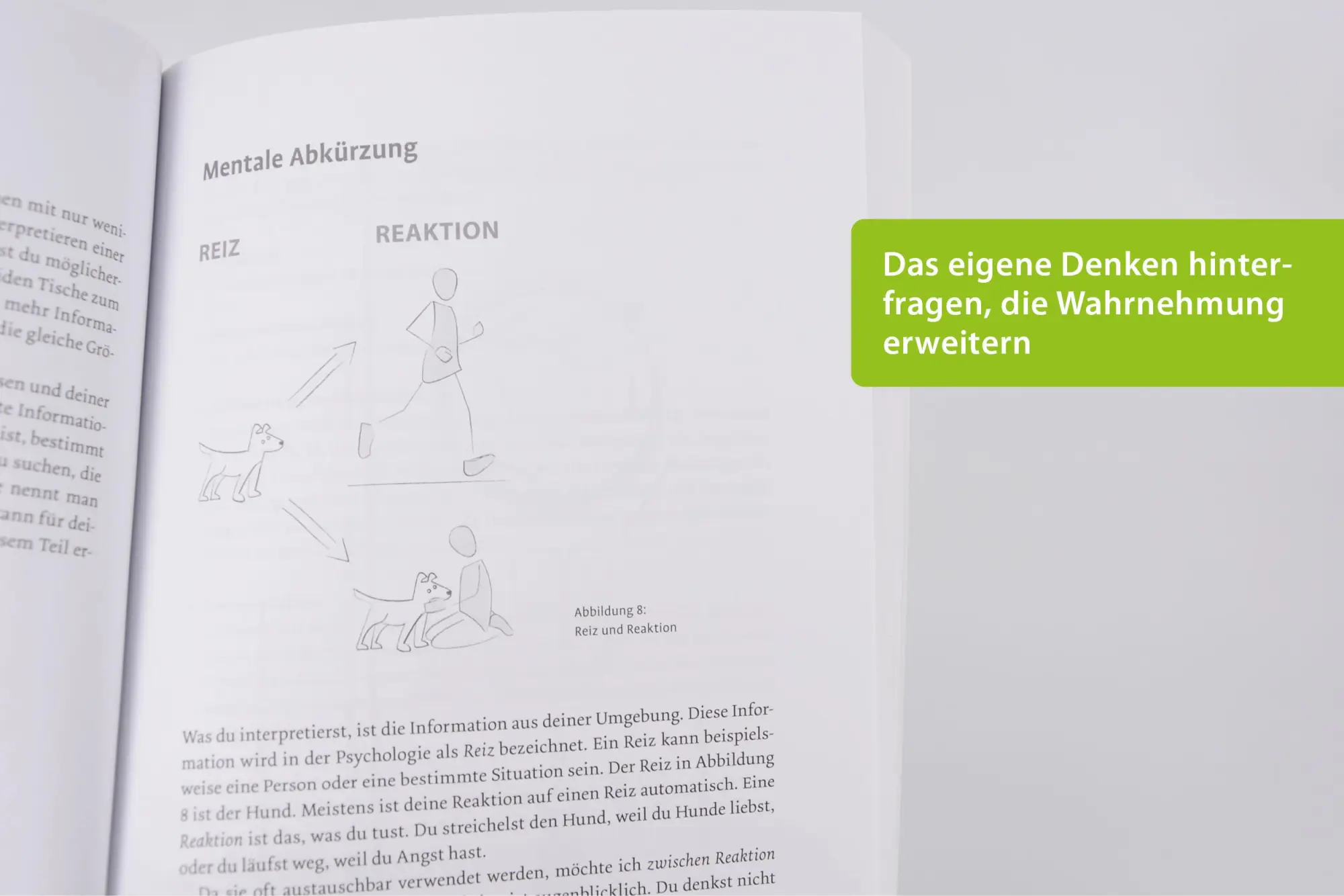 Bild: 9783407367372 | Logbuch Life Skills | Das Leben bewusst gestalten | Graumann-Ubale