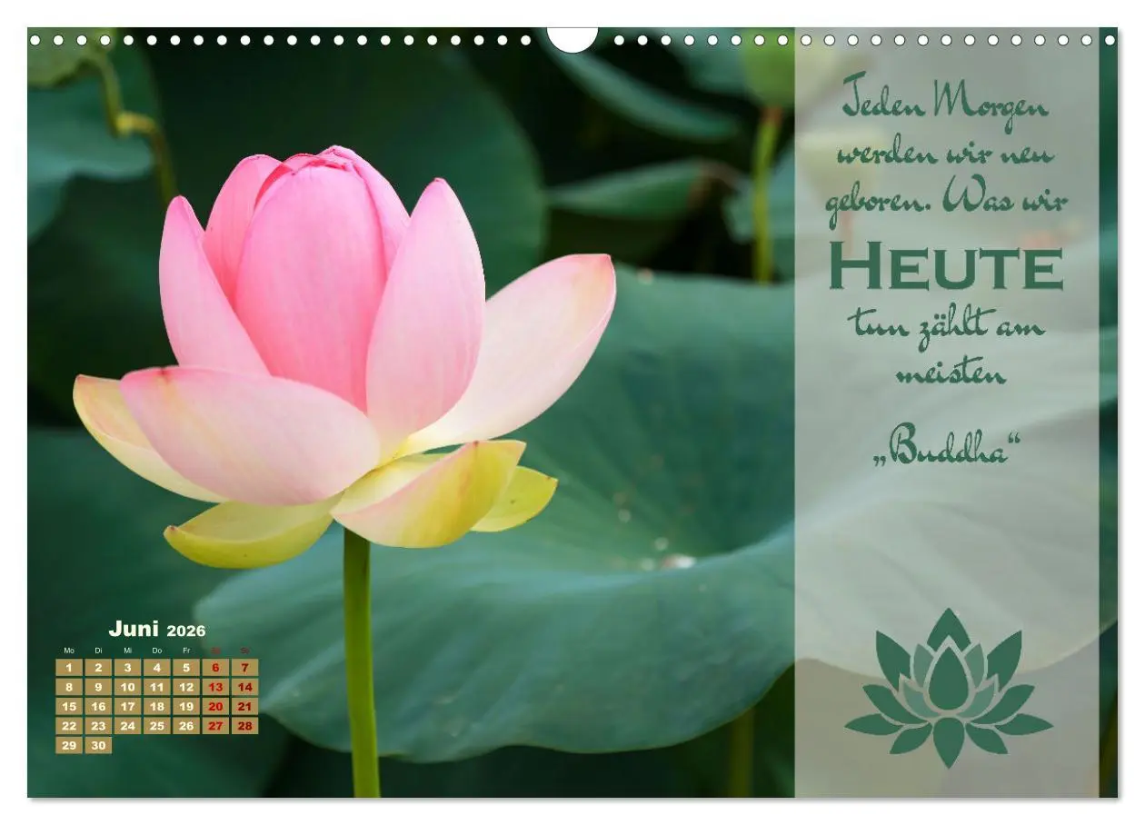 Bild: 9783457557372 | Erleuchtende Worte, Lebensweisheiten von Gautama Buddha by VogtArt...