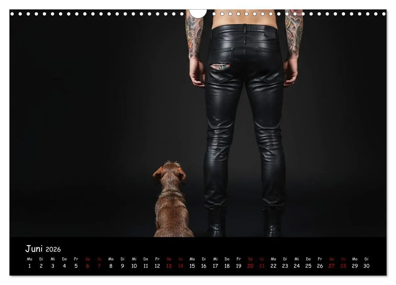 Bild: 9783516717372 | Coole Typen - Rauhaardackel (Wandkalender 2026 DIN A3 quer),...