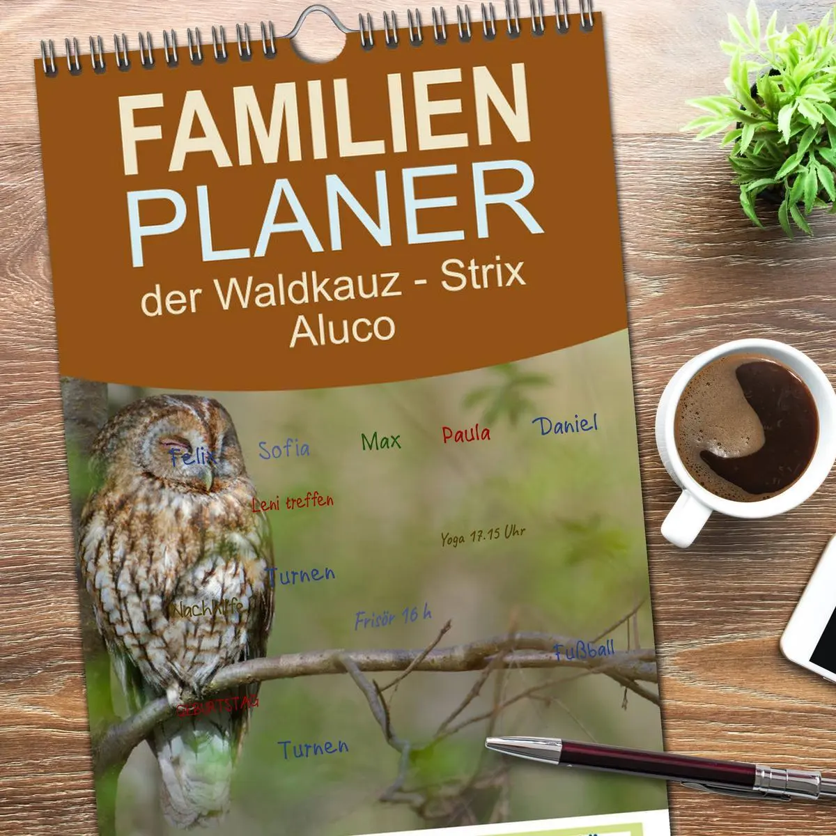 Bild: 9783516497472 | Familienplaner 2026 - der Waldkauz - Strix Aluco mit 5 Spalten...
