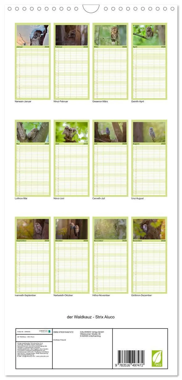 Bild: 9783516497472 | Familienplaner 2026 - der Waldkauz - Strix Aluco mit 5 Spalten...