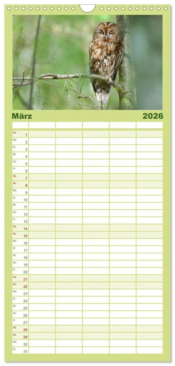 Bild: 9783516497472 | Familienplaner 2026 - der Waldkauz - Strix Aluco mit 5 Spalten...