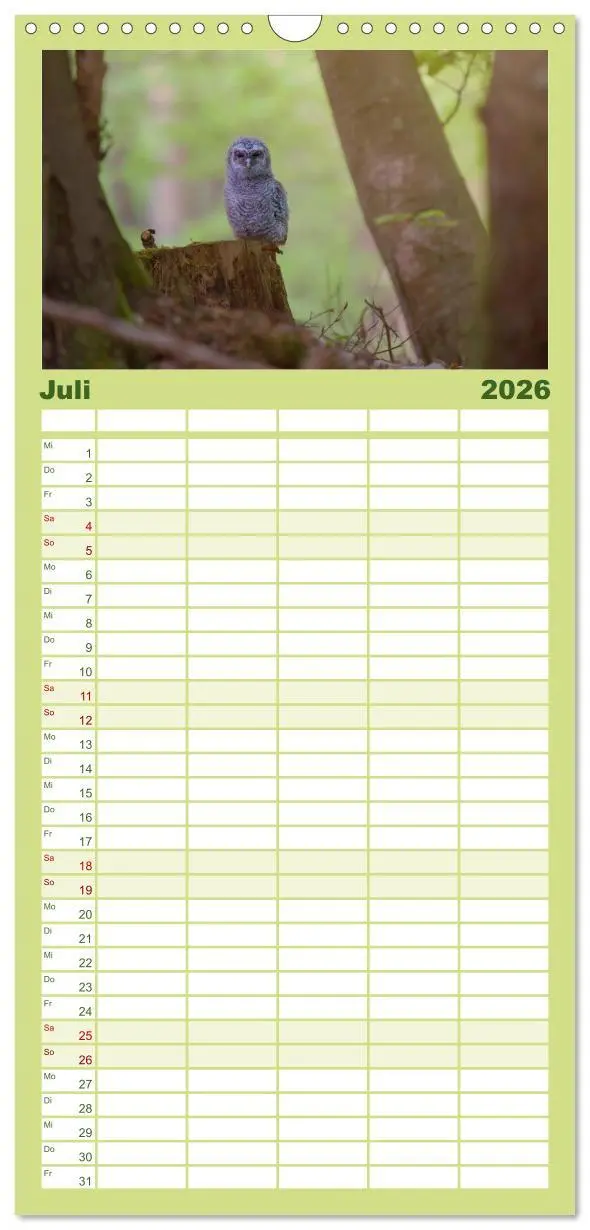 Bild: 9783516497472 | Familienplaner 2026 - der Waldkauz - Strix Aluco mit 5 Spalten...