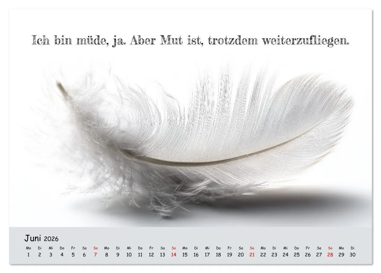Bild: 9783516637472 | Krebs ist ein Vollidiot - Kalender für alle Kämpfer mit...