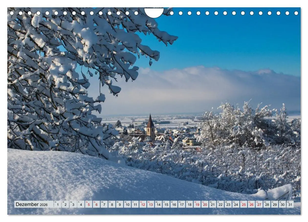 Bild: 9783457847572 | Weinregion Kaiserstuhl (Wandkalender 2026 DIN A4 quer), CALVENDO...