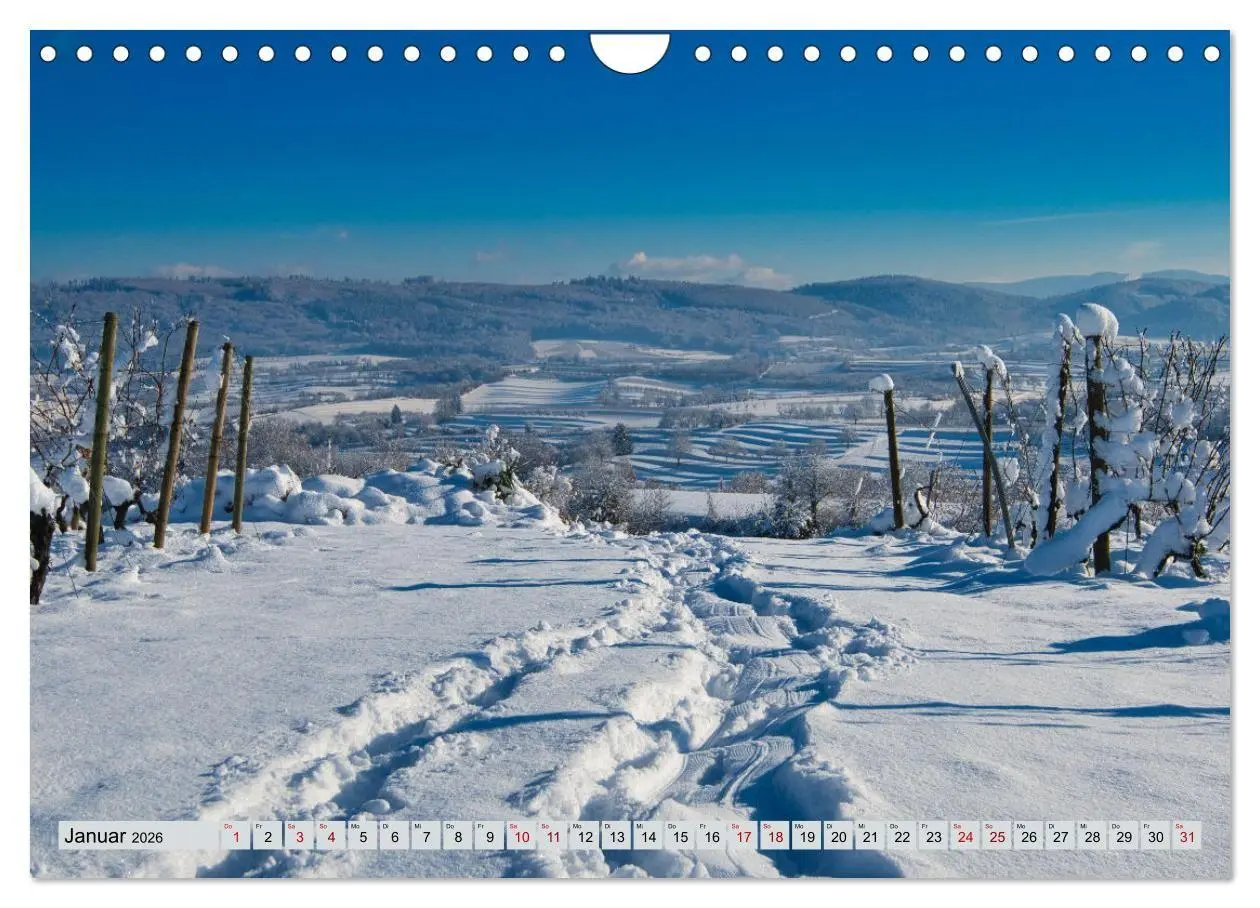 Bild: 9783457847572 | Weinregion Kaiserstuhl (Wandkalender 2026 DIN A4 quer), CALVENDO...