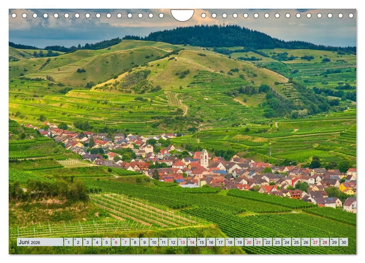 Bild: 9783457847572 | Weinregion Kaiserstuhl (Wandkalender 2026 DIN A4 quer), CALVENDO...
