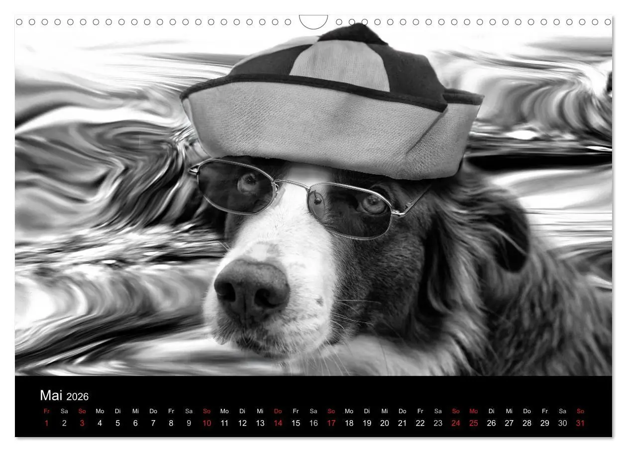 Bild: 9783516177572 | Hütehunde (Wandkalender 2026 DIN A3 quer), CALVENDO Monatskalender
