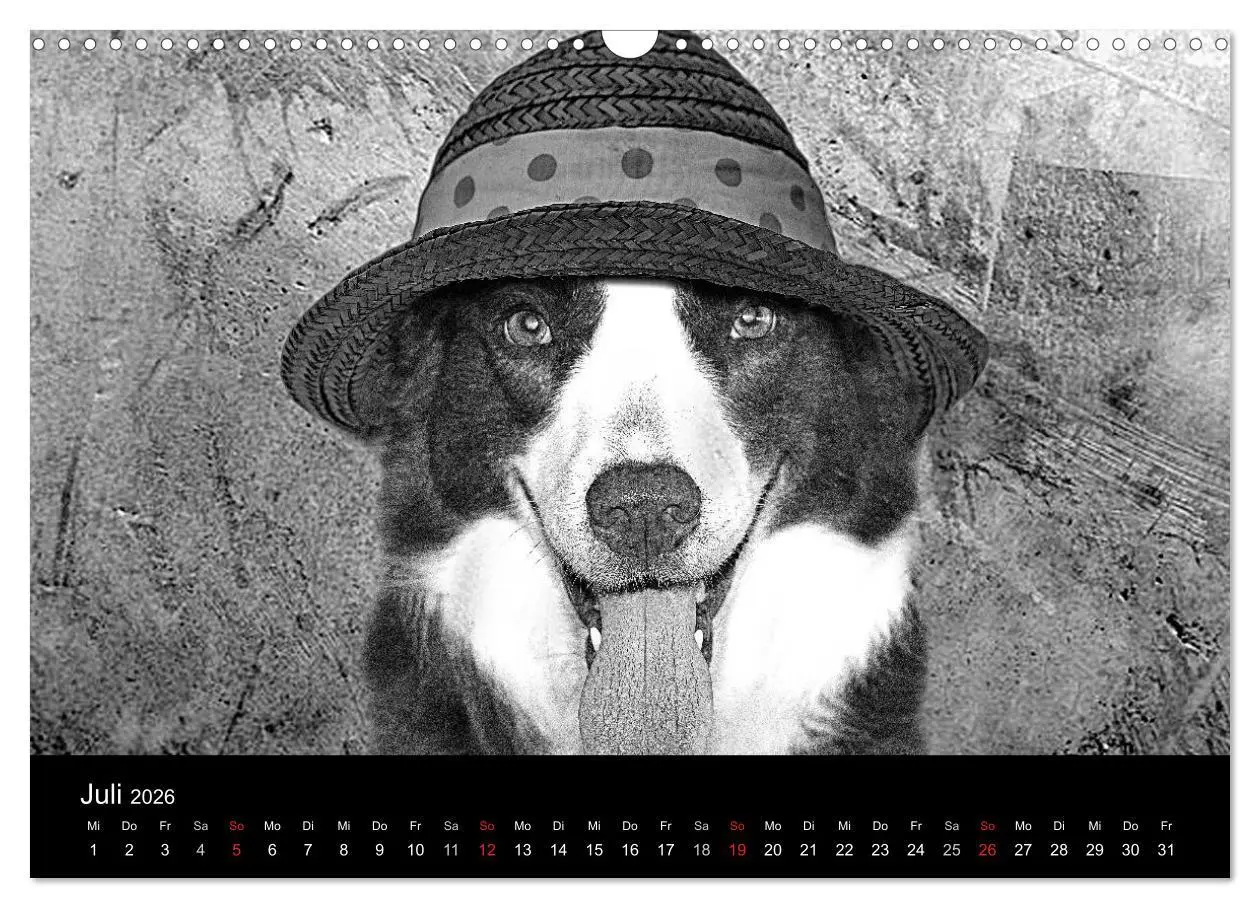Bild: 9783516177572 | Hütehunde (Wandkalender 2026 DIN A3 quer), CALVENDO Monatskalender
