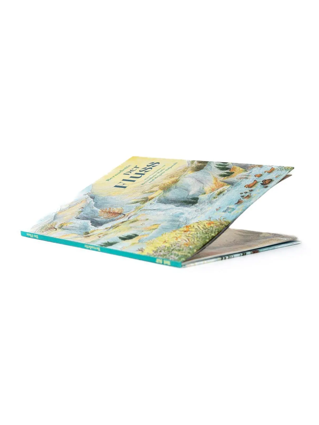 Bild: 9783314107672 | Der Fluss | Brigitte Sidjanski (u. a.) | Buch | 32 S. | Deutsch | 2026