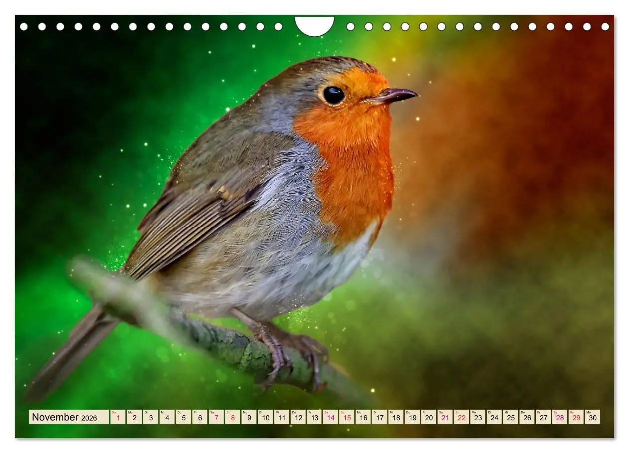 Bild: 9783457837672 | Bei uns im Garten - Rotkehlchen (Wandkalender 2026 DIN A4 quer),...
