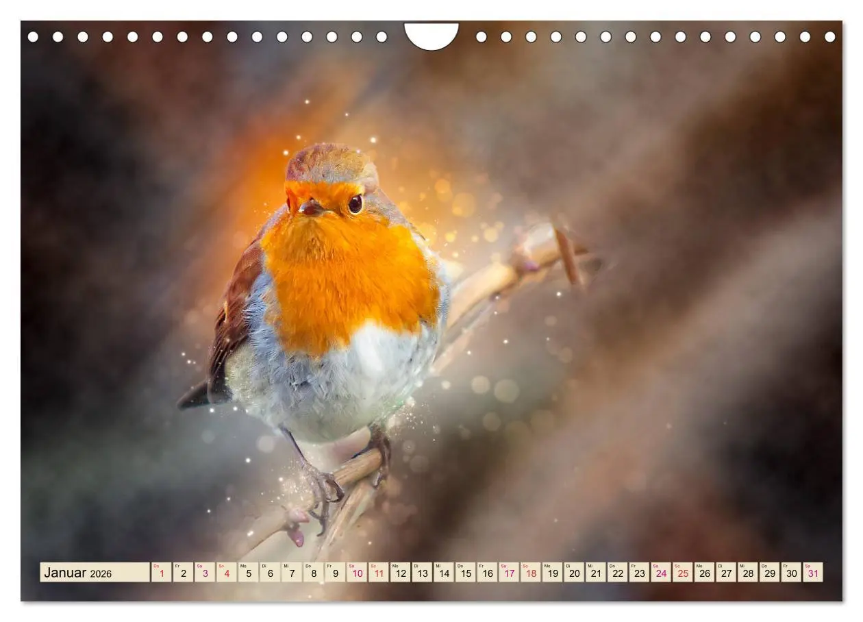 Bild: 9783457837672 | Bei uns im Garten - Rotkehlchen (Wandkalender 2026 DIN A4 quer),...