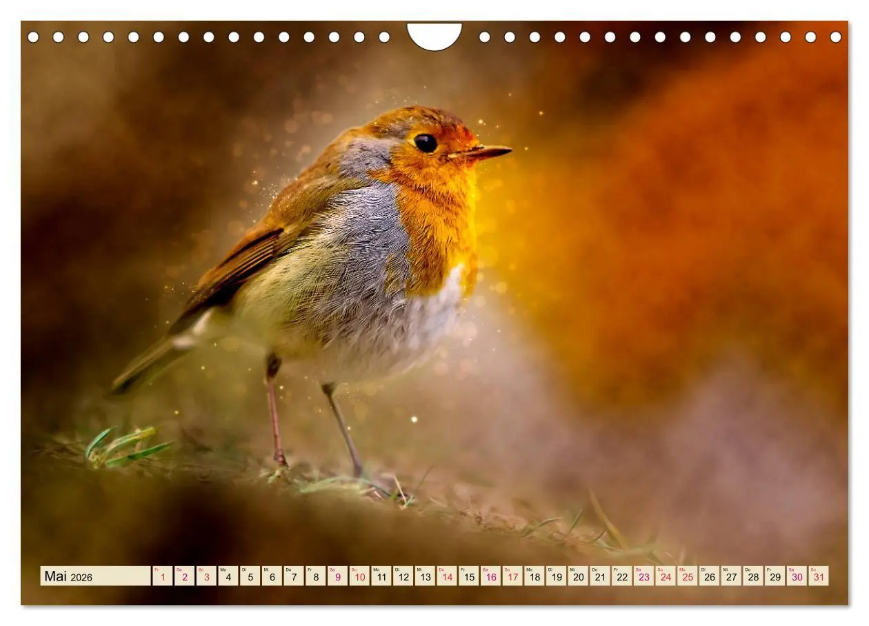 Bild: 9783457837672 | Bei uns im Garten - Rotkehlchen (Wandkalender 2026 DIN A4 quer),...