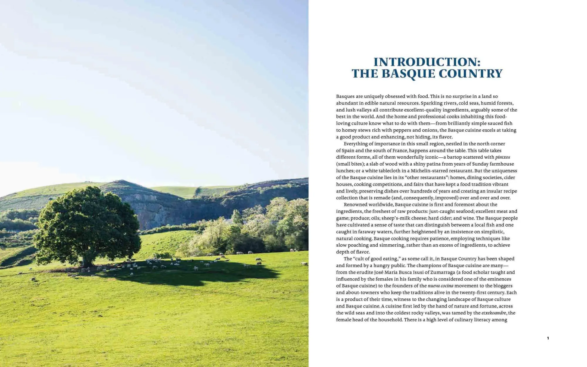 Bild: 9781579657772 | Basque Country | A Culinary Journey Through a Food Lover's Paradise