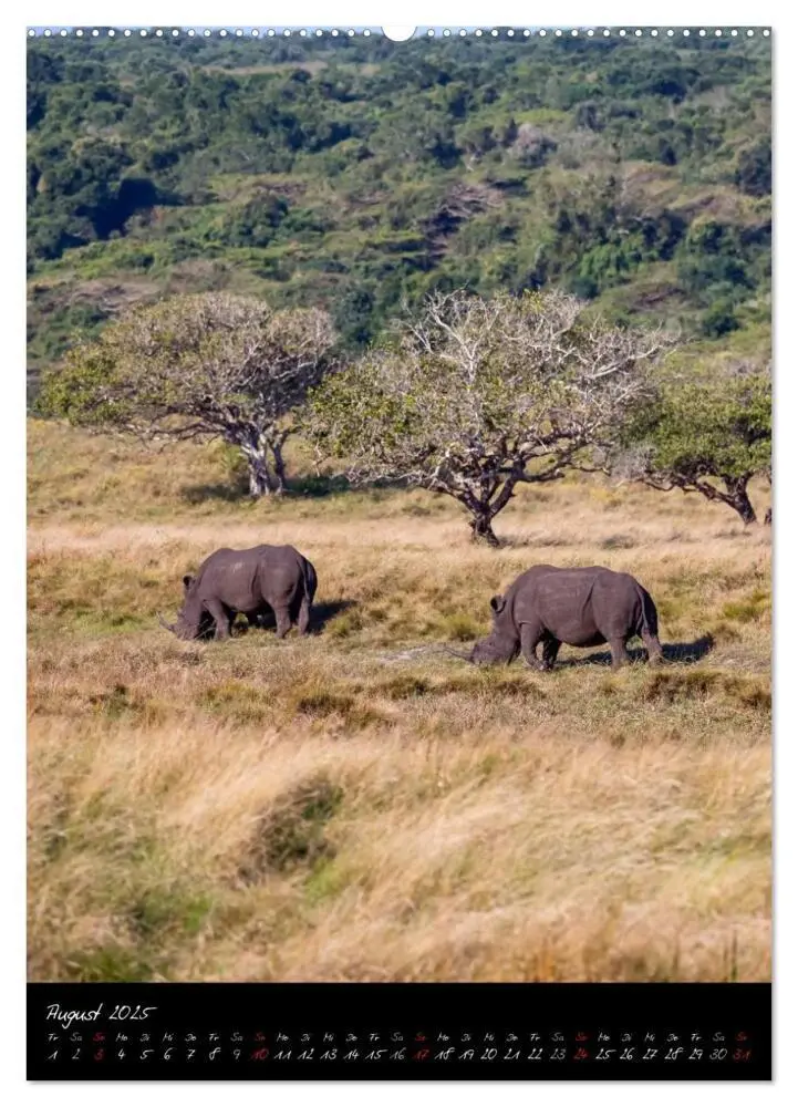 Bild: 9783457067772 | Südafrika - Sehenswerte Panorama Route (Wandkalender 2025 DIN A2...