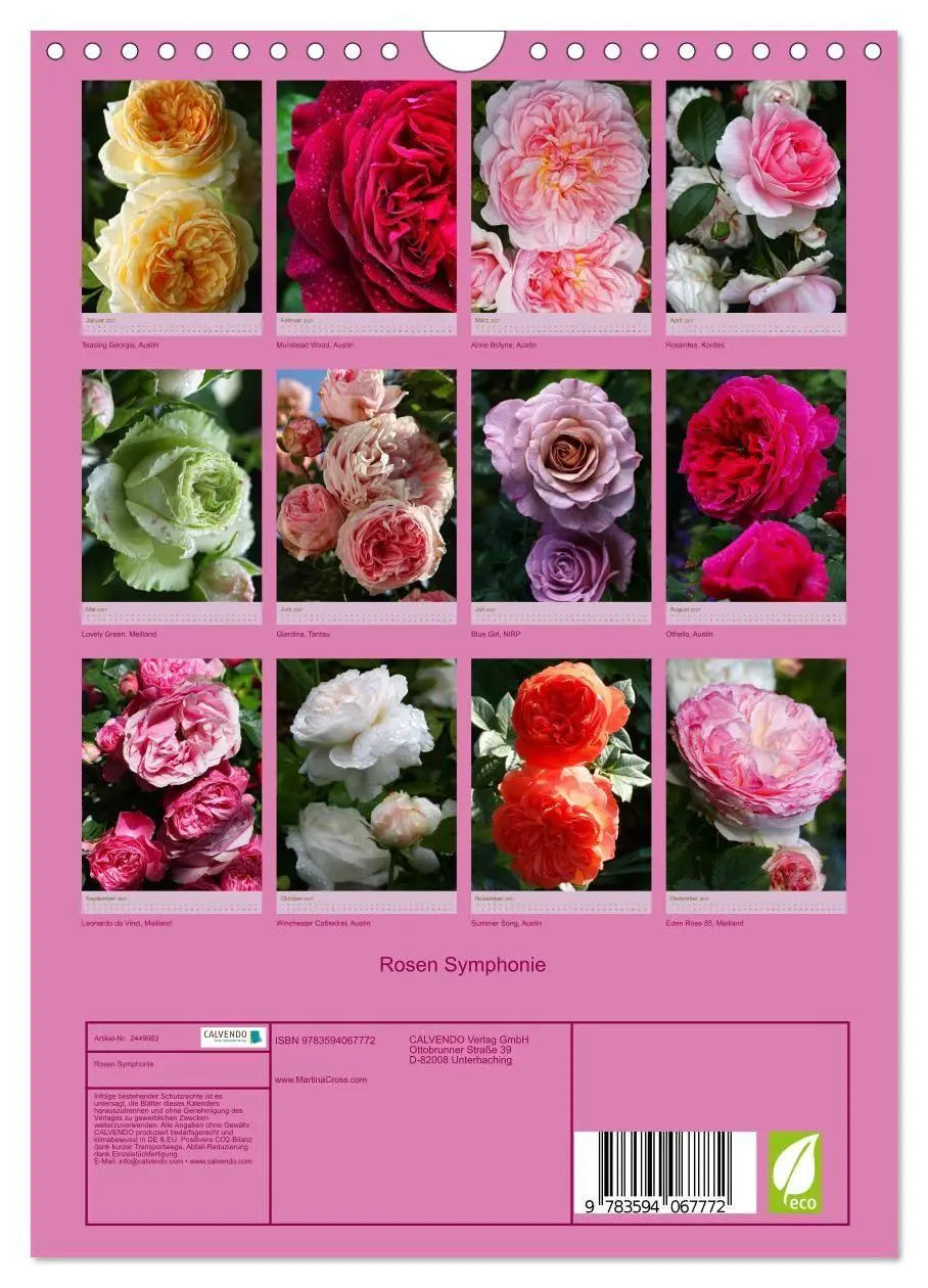 Bild: 9783594067772 | Rosen Symphonie (Wandkalender 2027 DIN A4 hoch), CALVENDO...