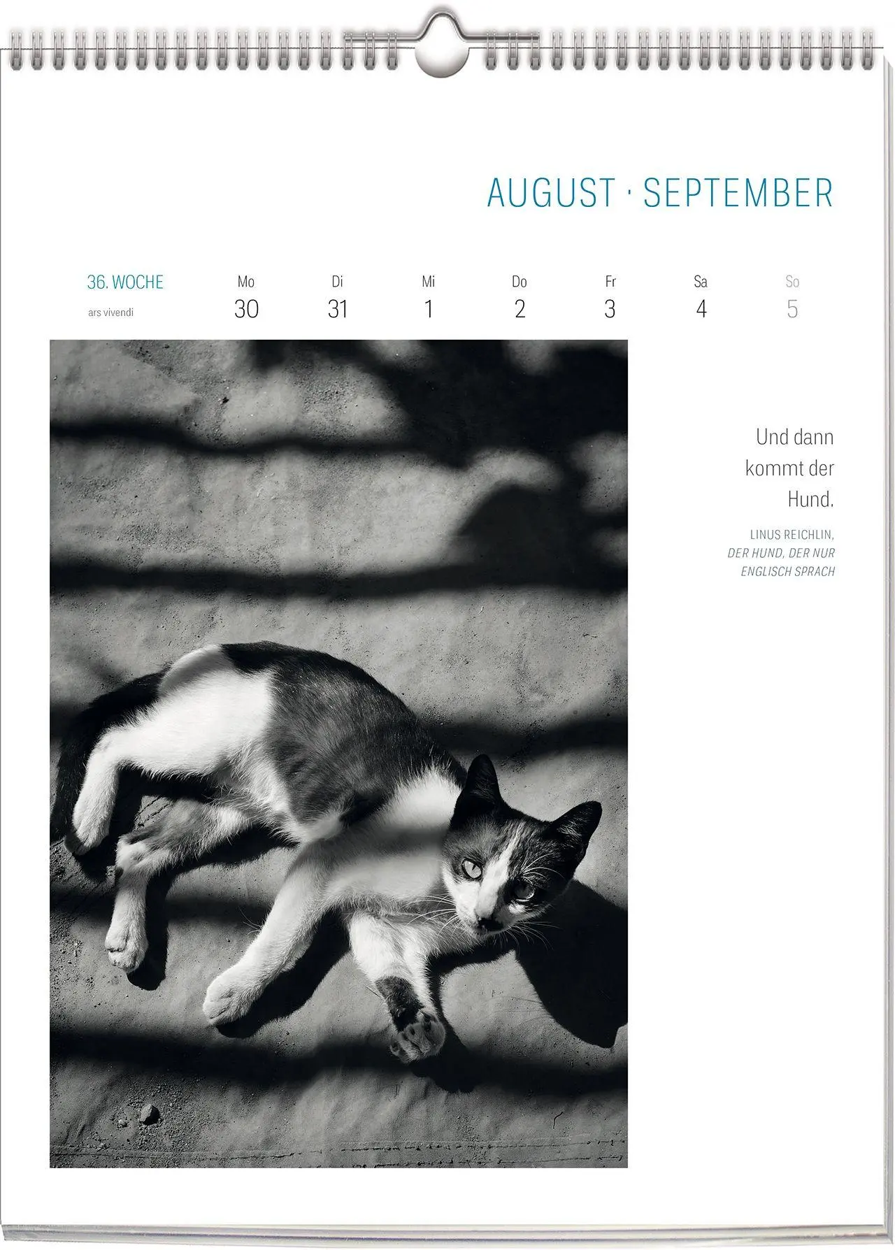 Bild: 9783747207772 | Literarisch durchs Jahr - Katzen 2027 | Wochenkalender | Vivendi Ars