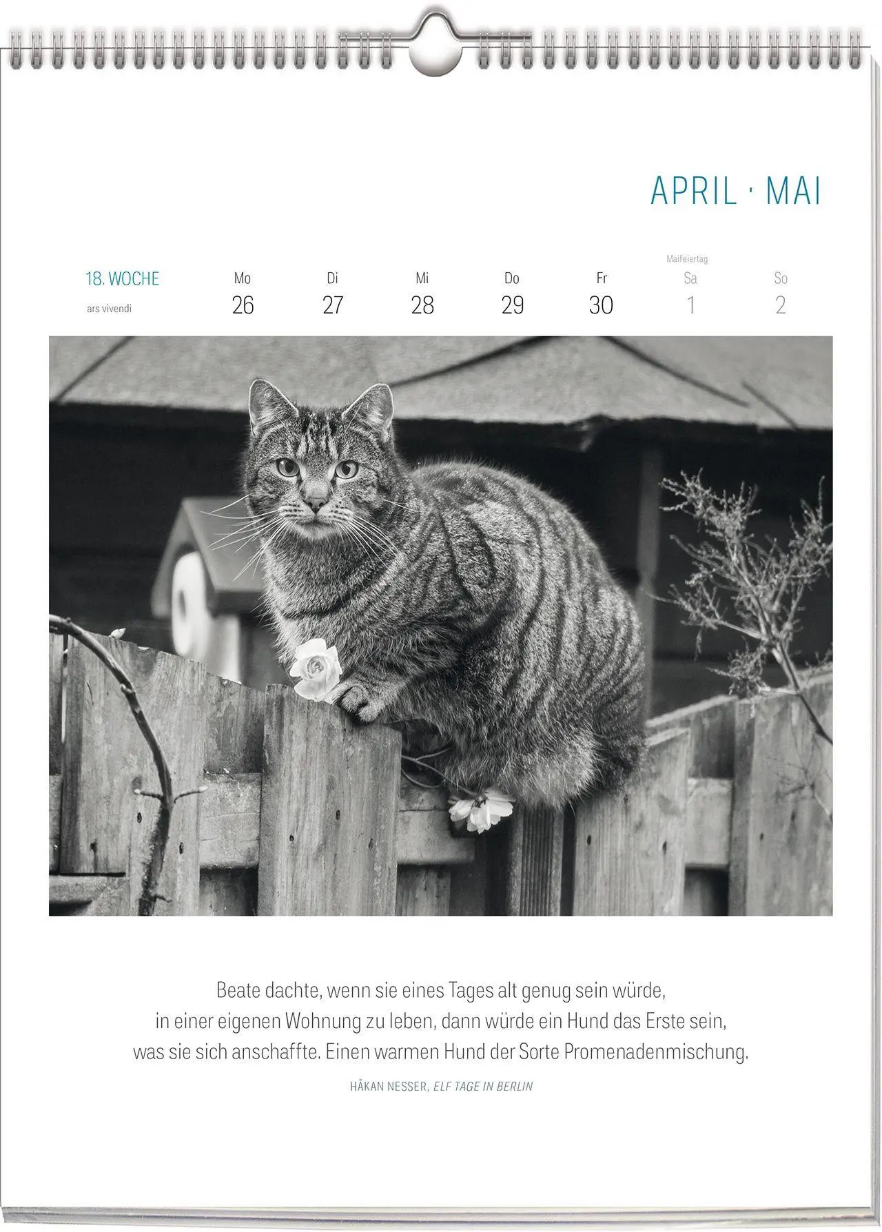 Bild: 9783747207772 | Literarisch durchs Jahr - Katzen 2027 | Wochenkalender | Vivendi Ars