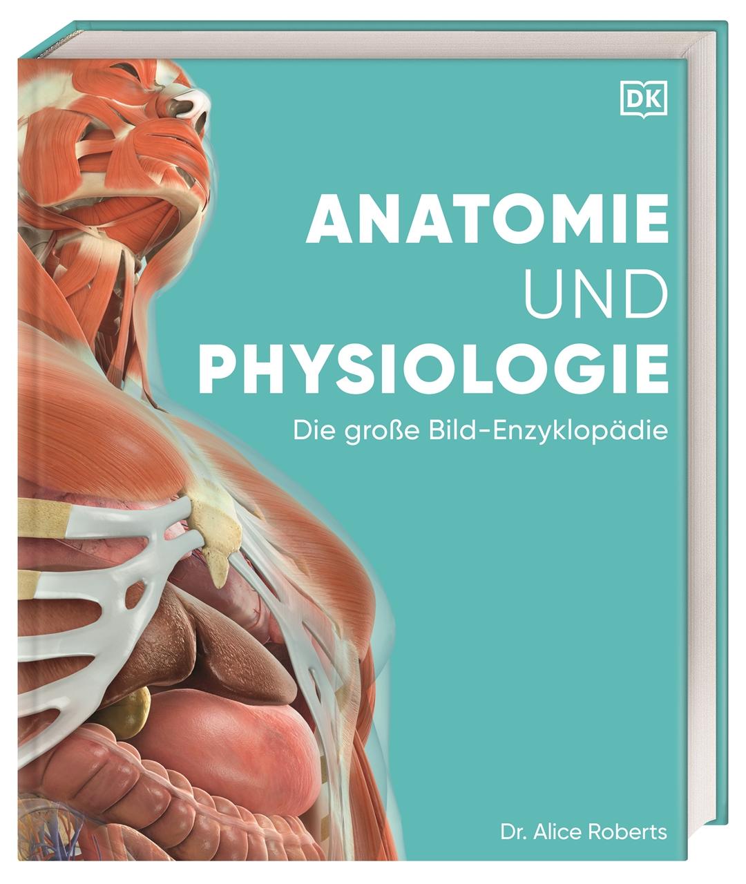 Cover: 9783831047772 | Anatomie und Physiologie | DK Verlag (u. a.) | Buch | 536 S. | Deutsch