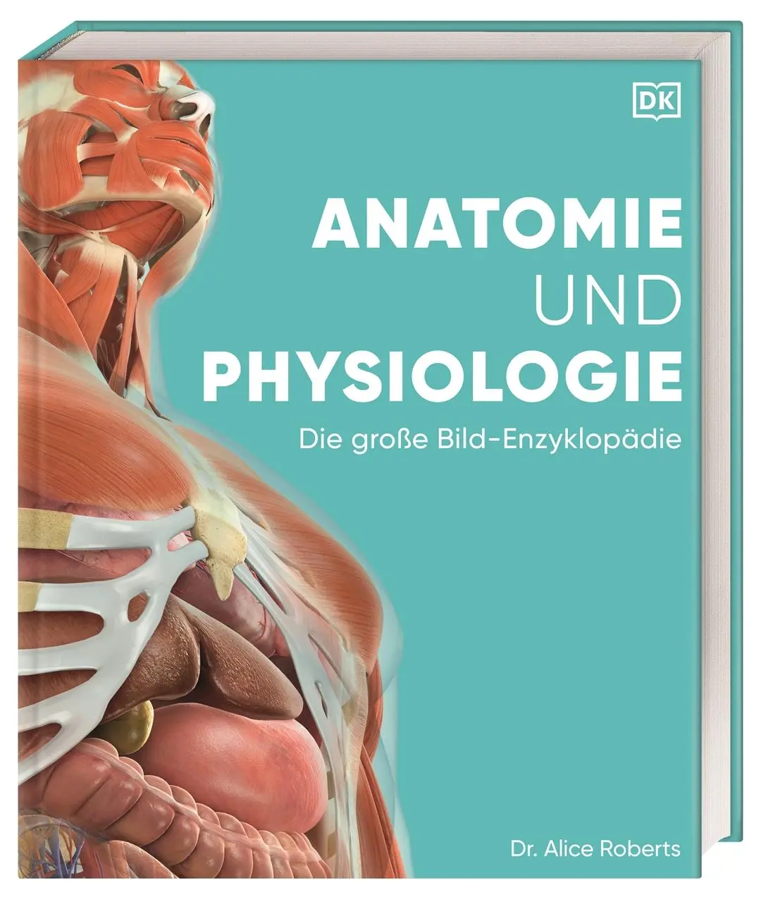 Cover: 9783831047772 | Anatomie und Physiologie | DK Verlag (u. a.) | Buch | 536 S. | Deutsch