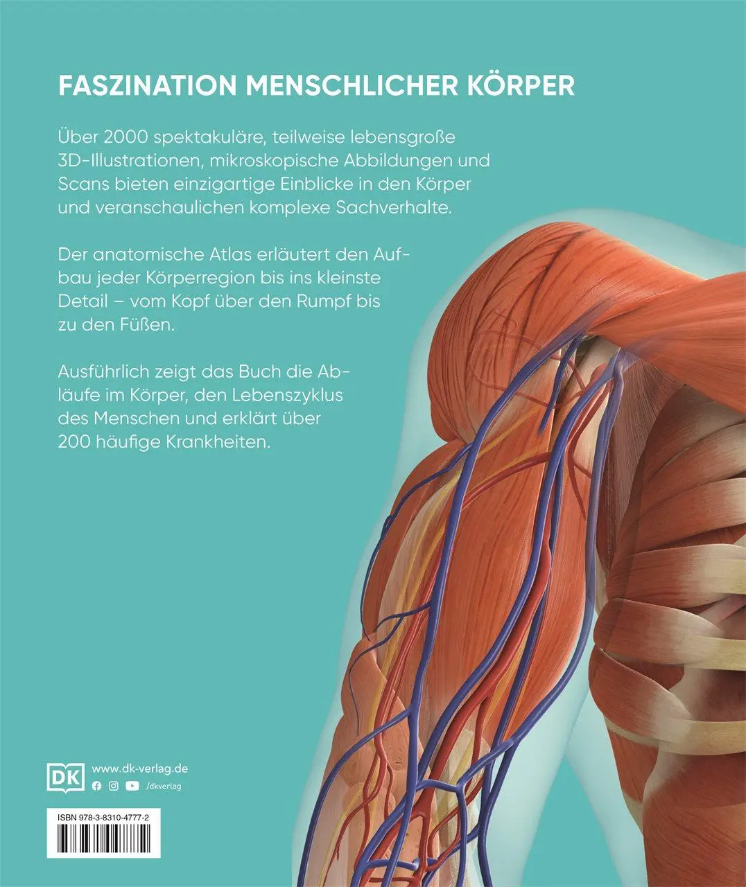 Rückseite: 9783831047772 | Anatomie und Physiologie | DK Verlag (u. a.) | Buch | 536 S. | Deutsch