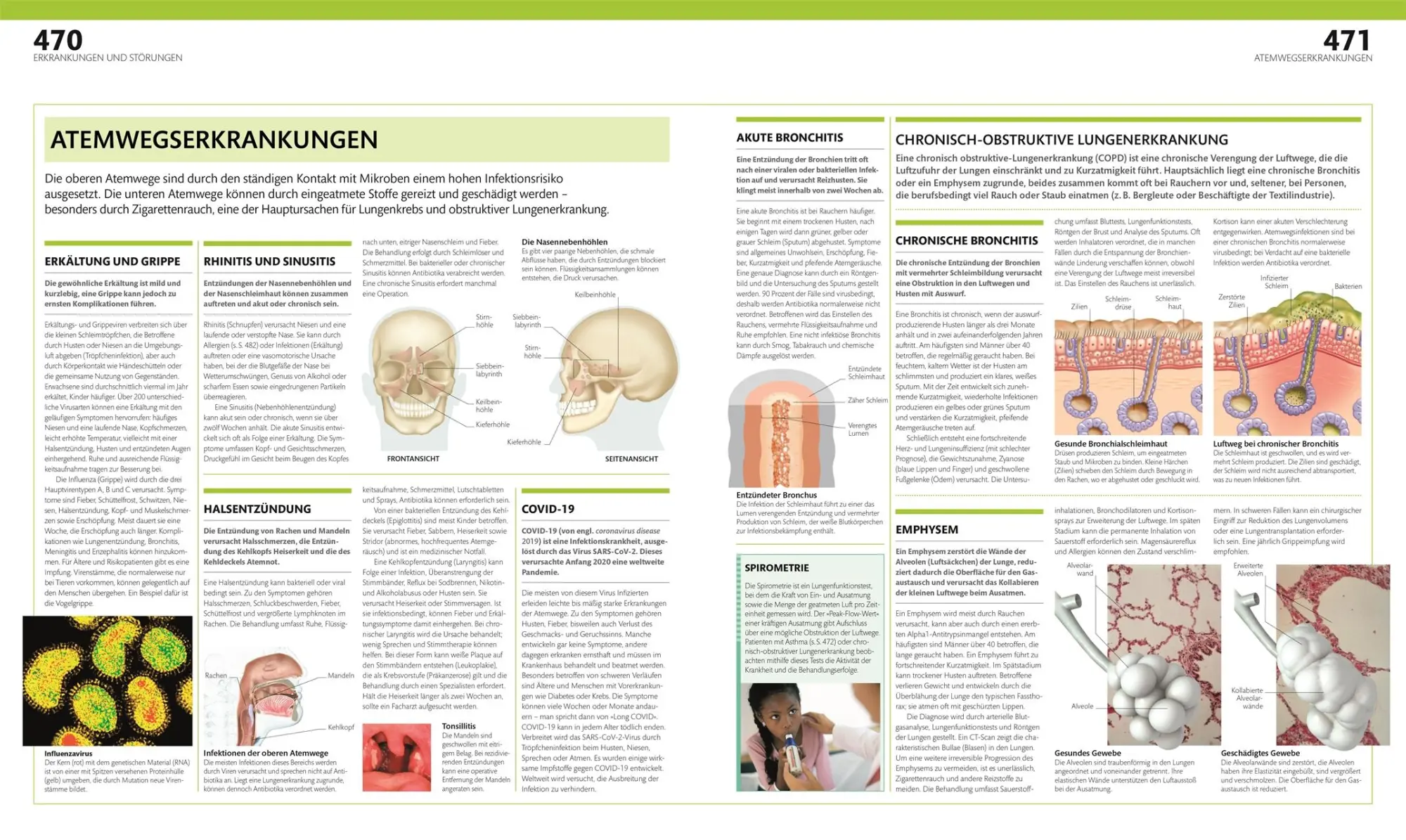 Bild: 9783831047772 | Anatomie und Physiologie | DK Verlag (u. a.) | Buch | 536 S. | Deutsch