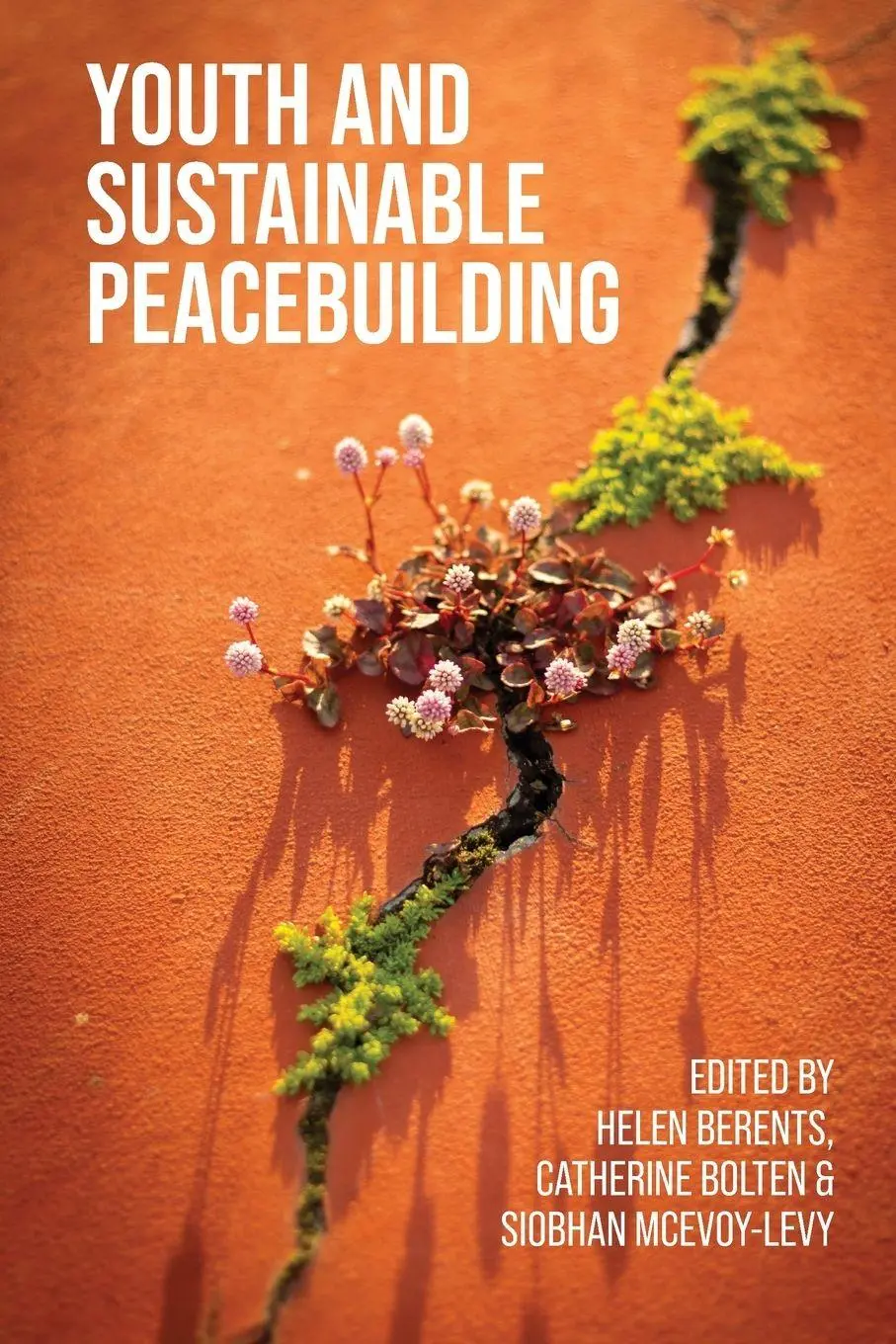 Cover: 9781526177872 | Youth and sustainable peacebuilding | Helen Berents (u. a.) | Buch