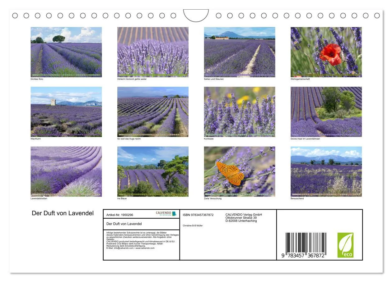 Bild: 9783457367872 | Der Duft von Lavendel (Wandkalender 2026 DIN A4 quer), CALVENDO...