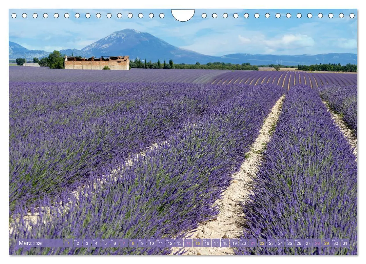 Bild: 9783457367872 | Der Duft von Lavendel (Wandkalender 2026 DIN A4 quer), CALVENDO...