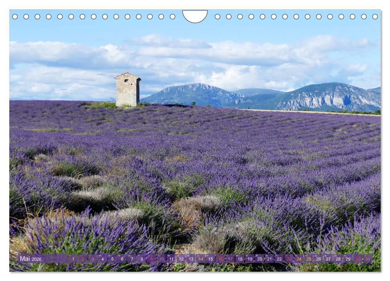 Bild: 9783457367872 | Der Duft von Lavendel (Wandkalender 2026 DIN A4 quer), CALVENDO...