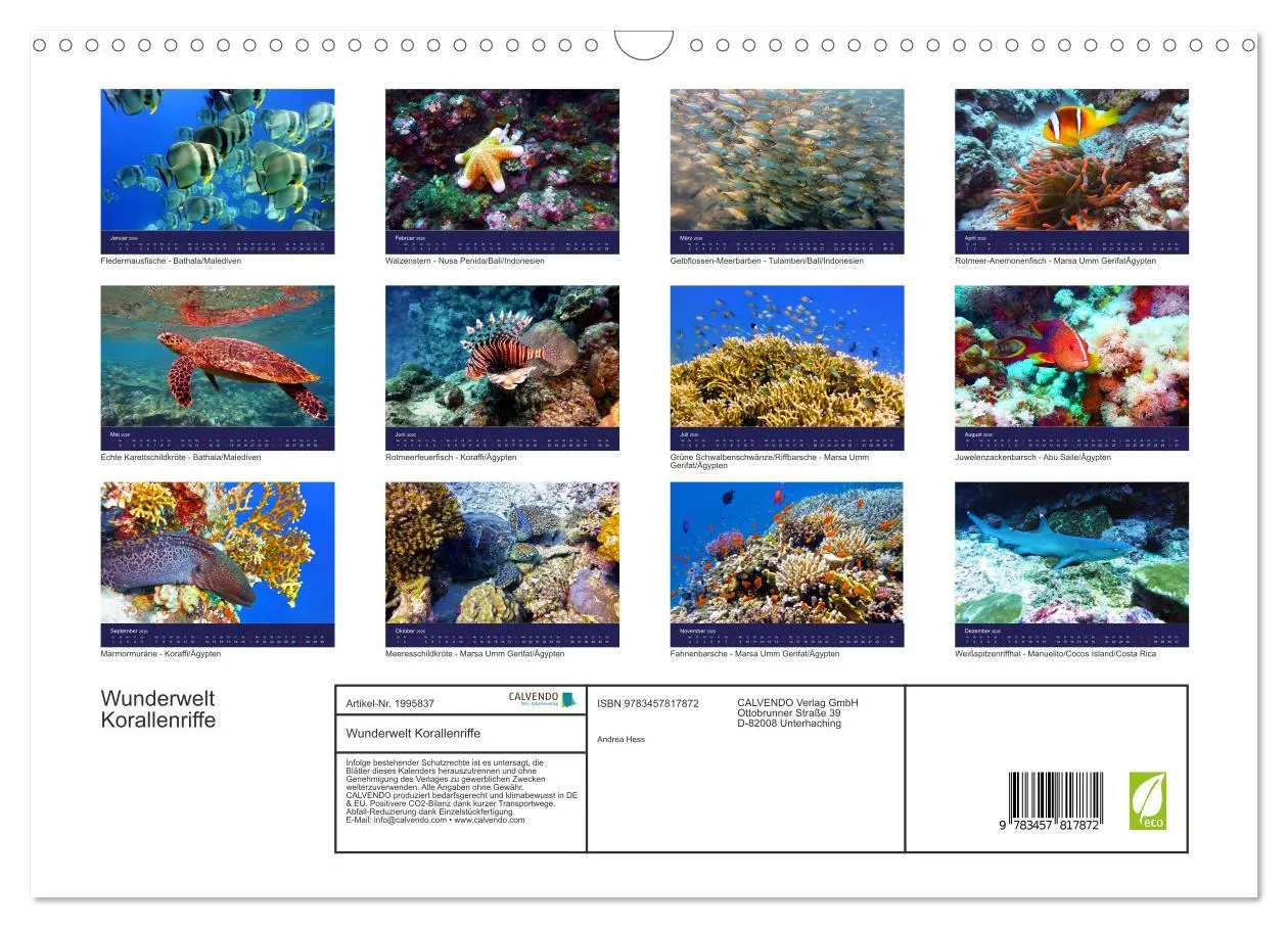 Bild: 9783457817872 | Wunderwelt Korallenriffe (Wandkalender 2026 DIN A3 quer), CALVENDO...