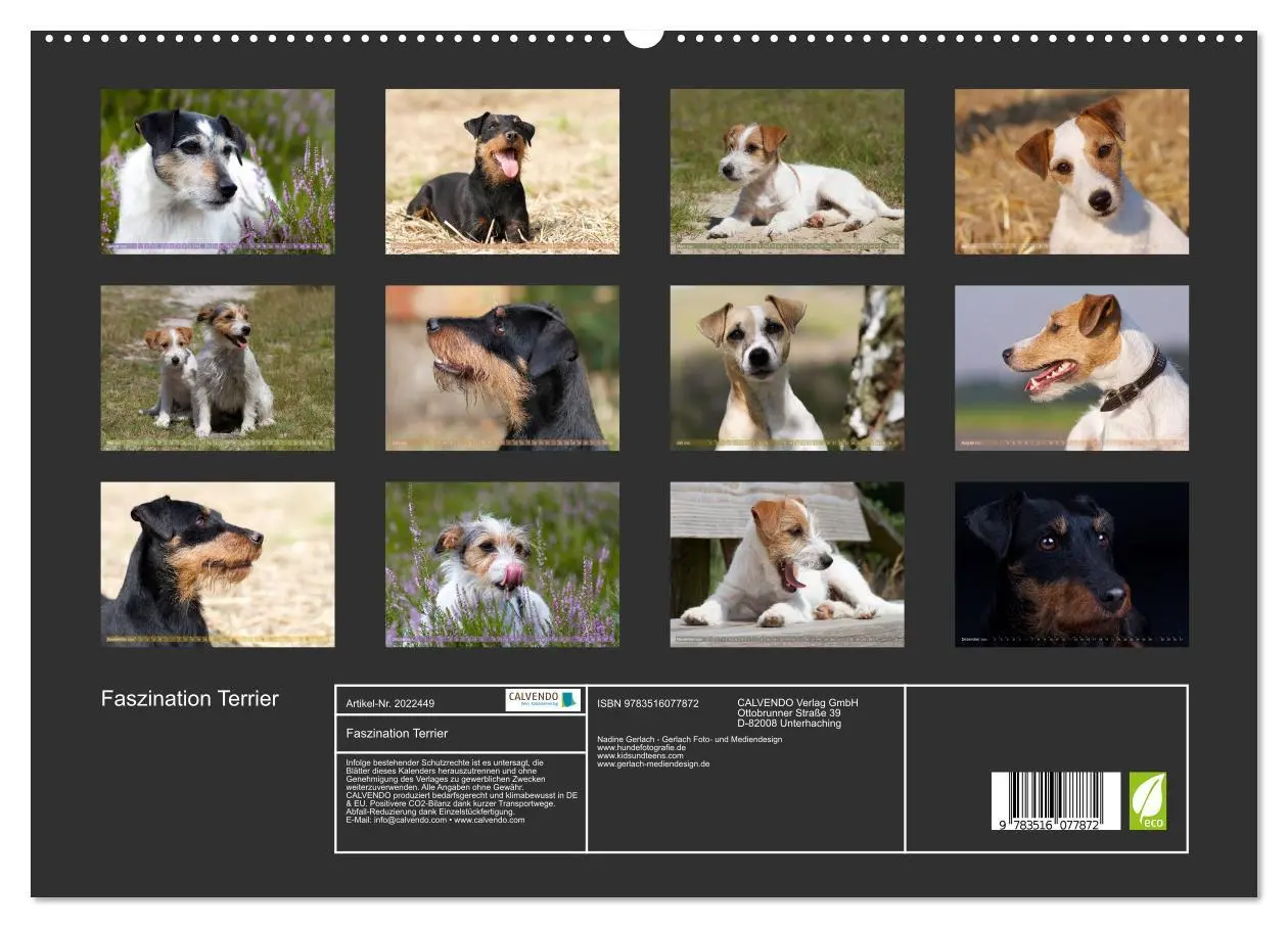 Bild: 9783516077872 | Faszination Terrier (hochwertiger Premium Wandkalender 2026 DIN A2...