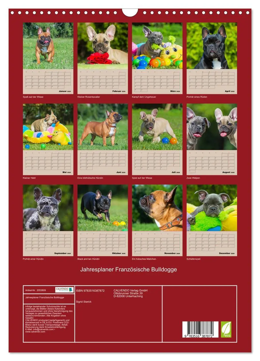 Bild: 9783516387872 | Jahresplaner Französische Bulldogge (Wandkalender 2026 DIN A3...