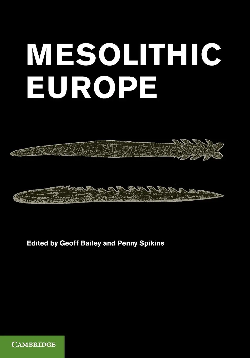 Cover: 9780521147972 | Mesolithic Europe | Geoff Bailey (u. a.) | Taschenbuch | Englisch