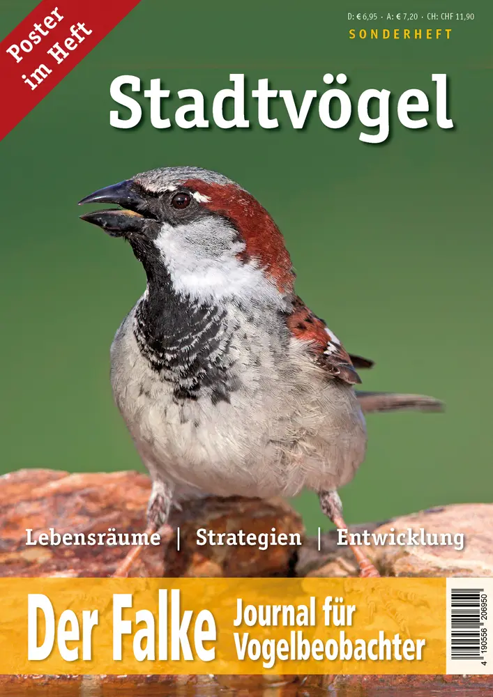 Cover: 9783891047972 | Stadtvögel | Lebensräume - Strategien - Entwicklung | Taschenbuch