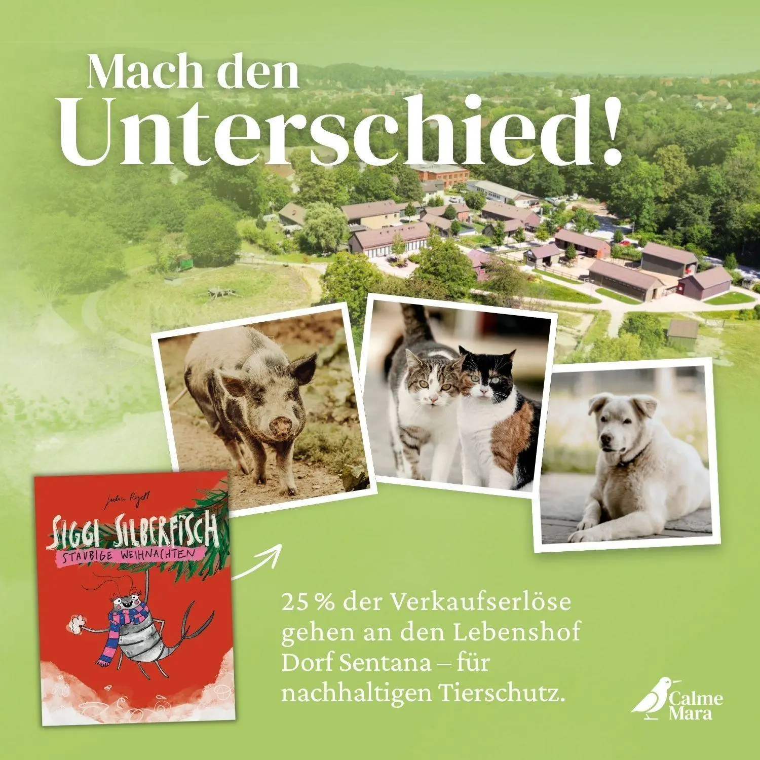 Bild: 9783948877972 | Siggi Silberfisch | Julia Regett | Buch | 32 S. | Deutsch | 2026