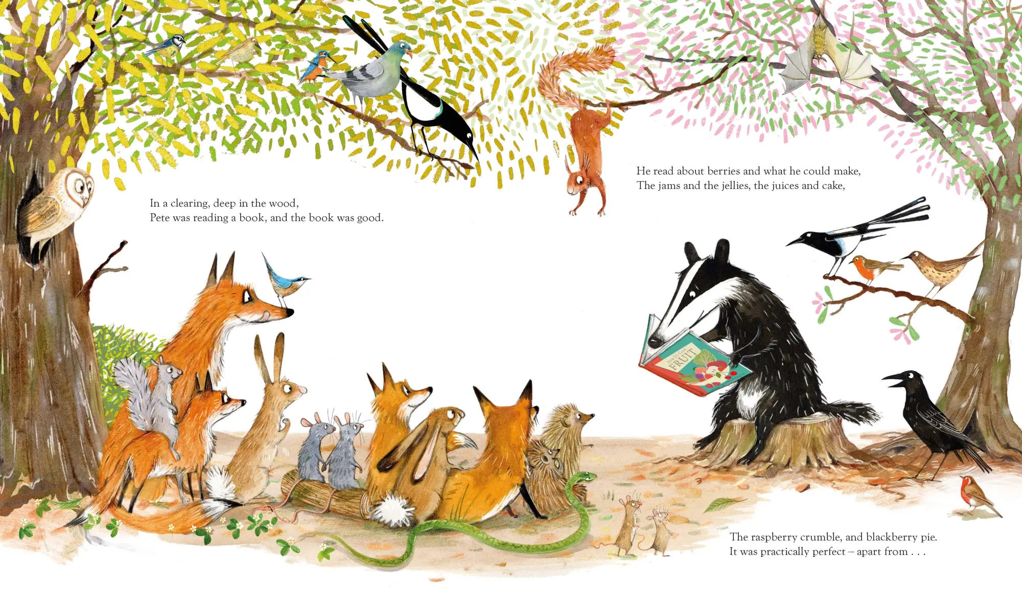 Bild: 9781529028072 | Bothered by Bugs | Emily Gravett | Taschenbuch | 32 S. | Englisch