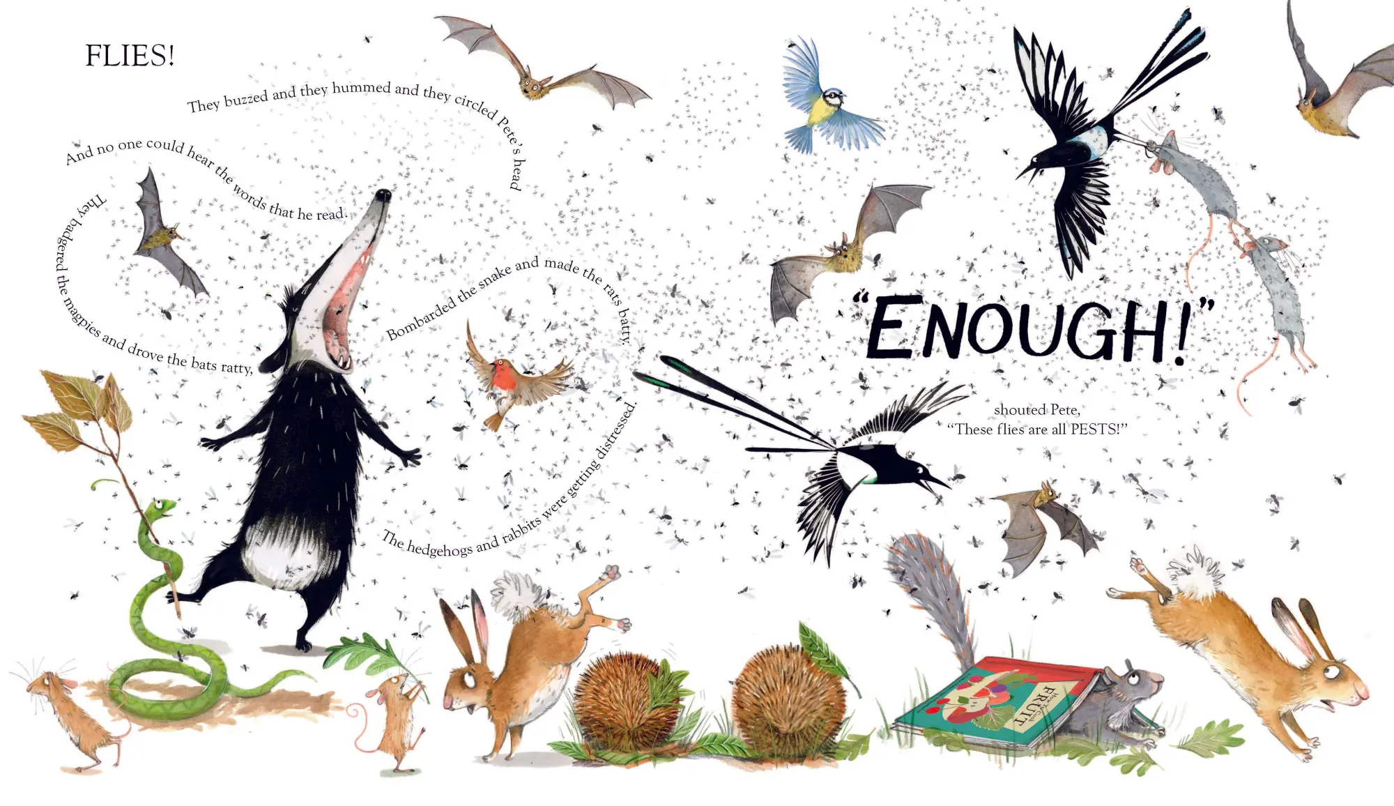 Bild: 9781529028072 | Bothered by Bugs | Emily Gravett | Taschenbuch | 32 S. | Englisch