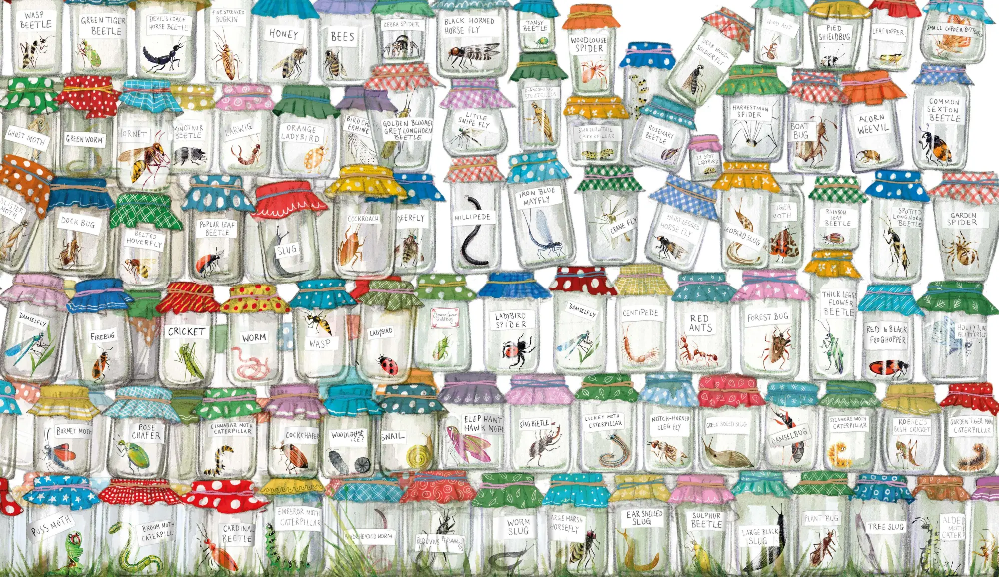 Bild: 9781529028072 | Bothered by Bugs | Emily Gravett | Taschenbuch | 32 S. | Englisch