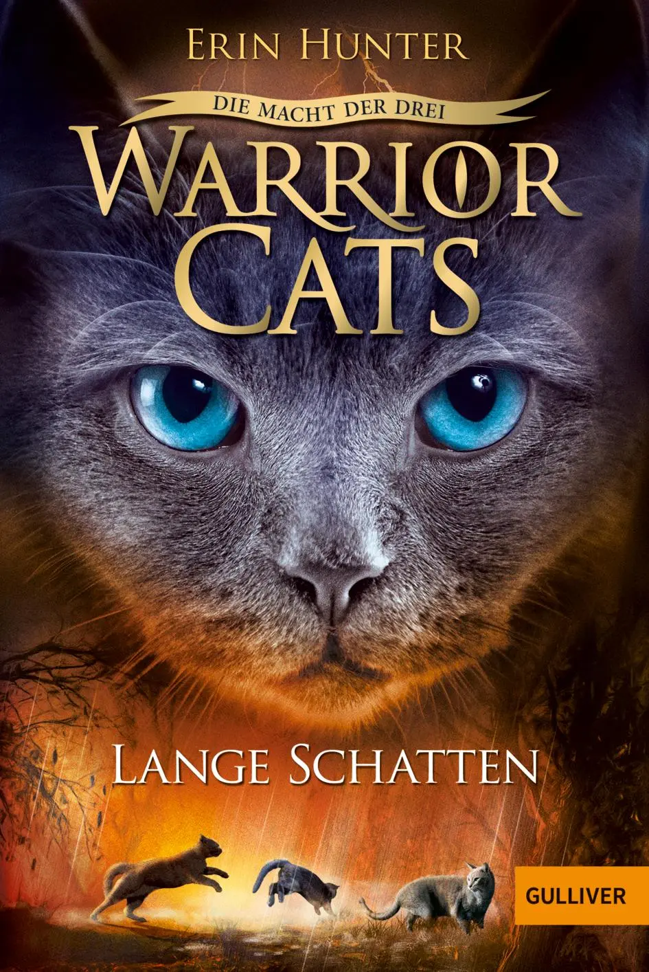 Cover: 9783407748072 | Warrior Cats Staffel 3/05. Die Macht der drei. Lange Schatten | Hunter