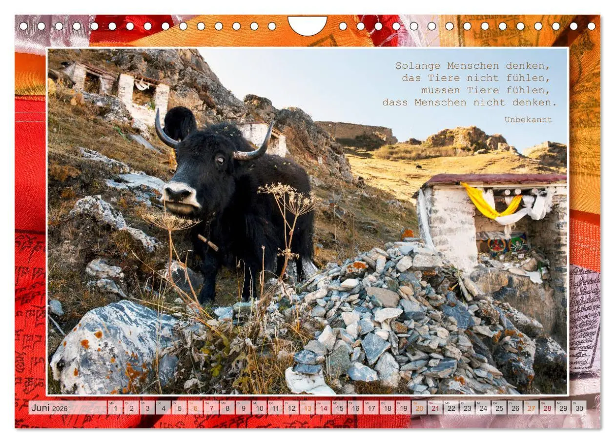 Bild: 9783457798072 | Farben Tibets (Wandkalender 2026 DIN A4 quer), CALVENDO Monatskalender