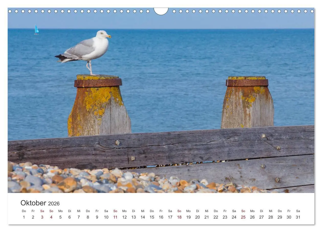 Bild: 9783457938072 | Eastbourne an Englands Südküste (Wandkalender 2026 DIN A3 quer),...