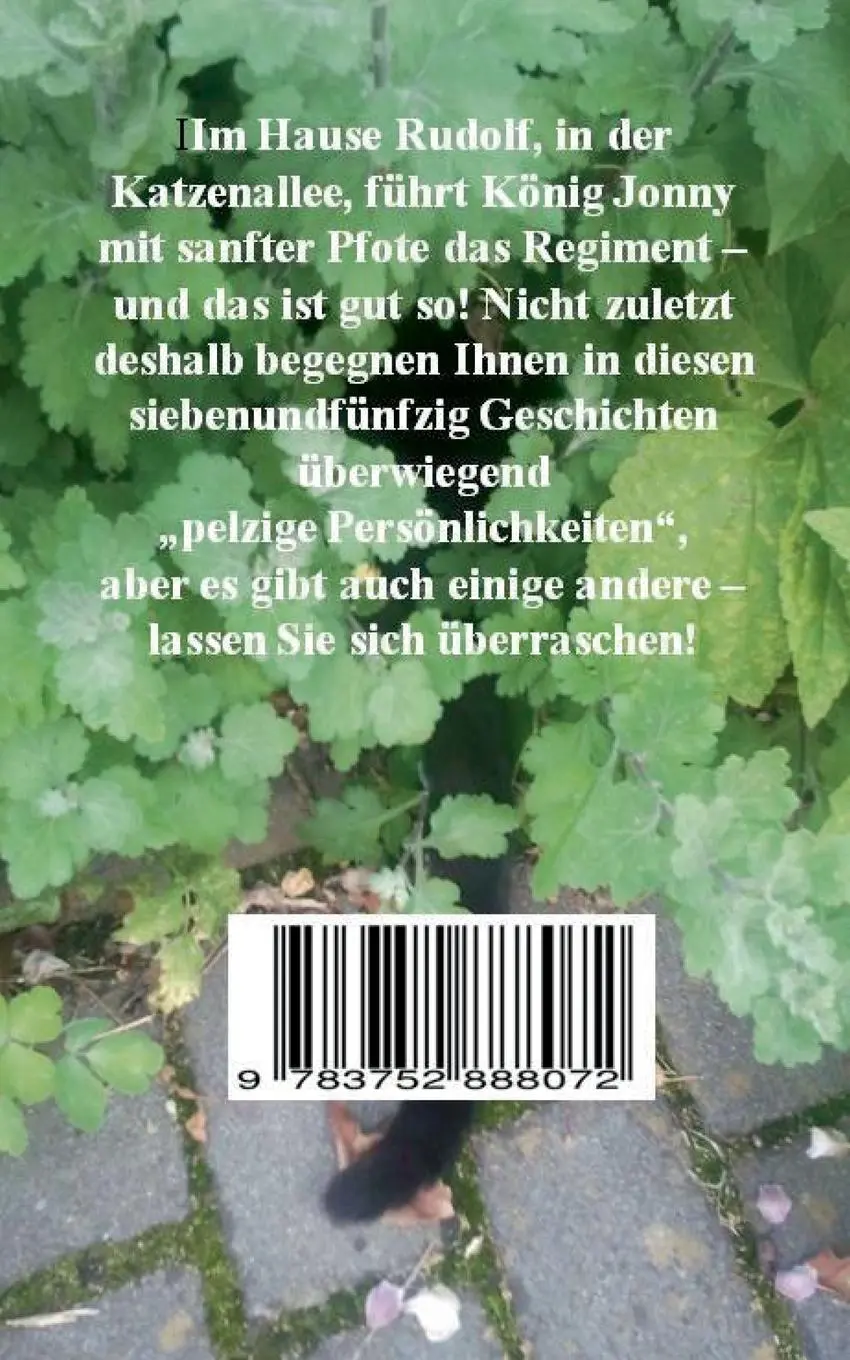 Rückseite: 9783752888072 | Vier schwarze Pfötchen und ein langer Schwanz | Brigitta Rudolf | Buch