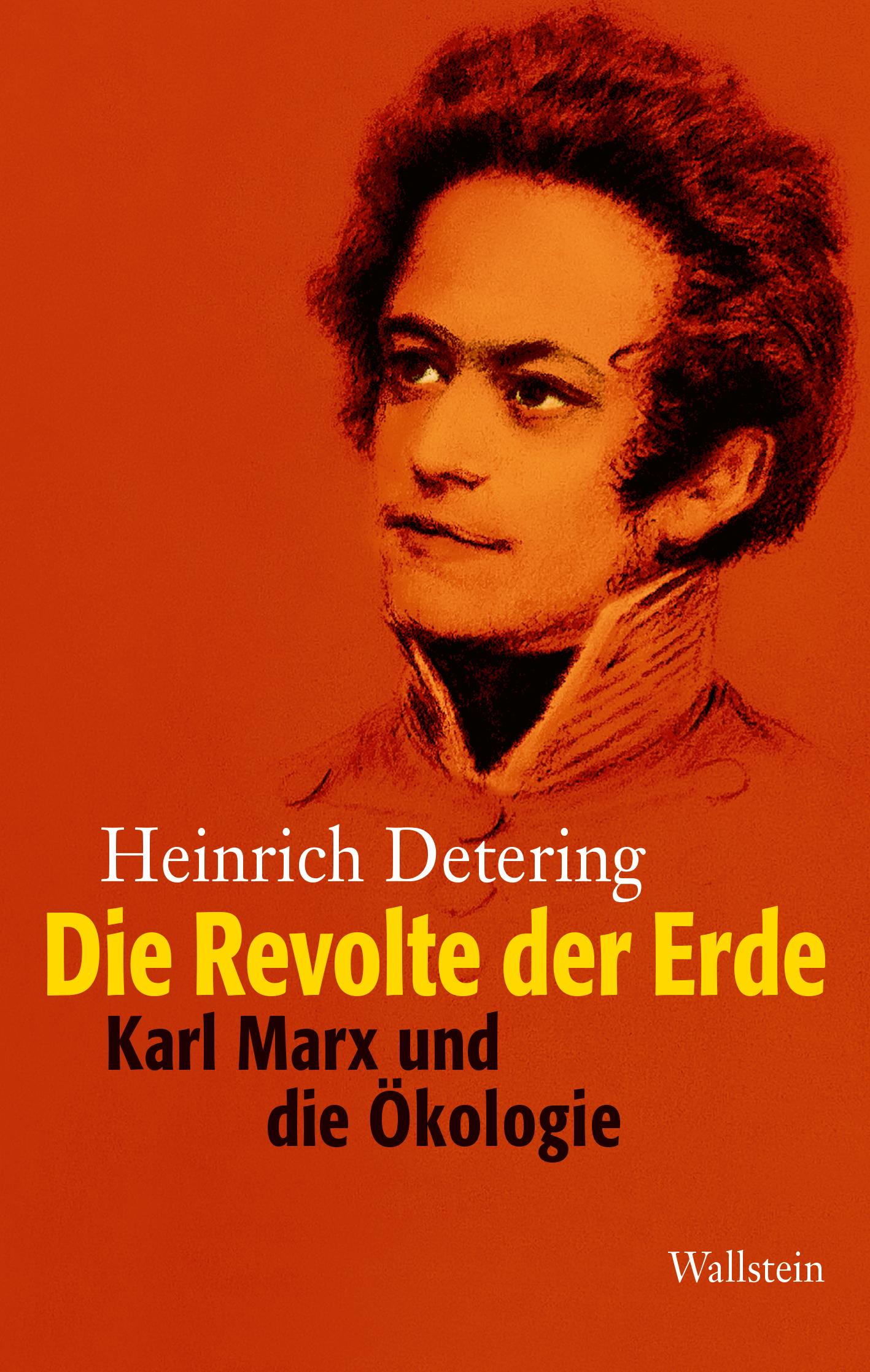 Cover: 9783835358072 | Die Revolte der Erde | Karl Marx und die Ökologie | Heinrich Detering