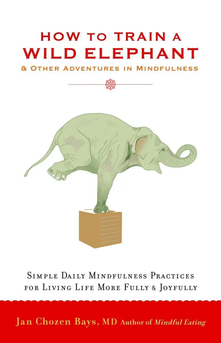 Cover: 9781590308172 | How to Train a Wild Elephant | And Other Adventures in Mindfulness