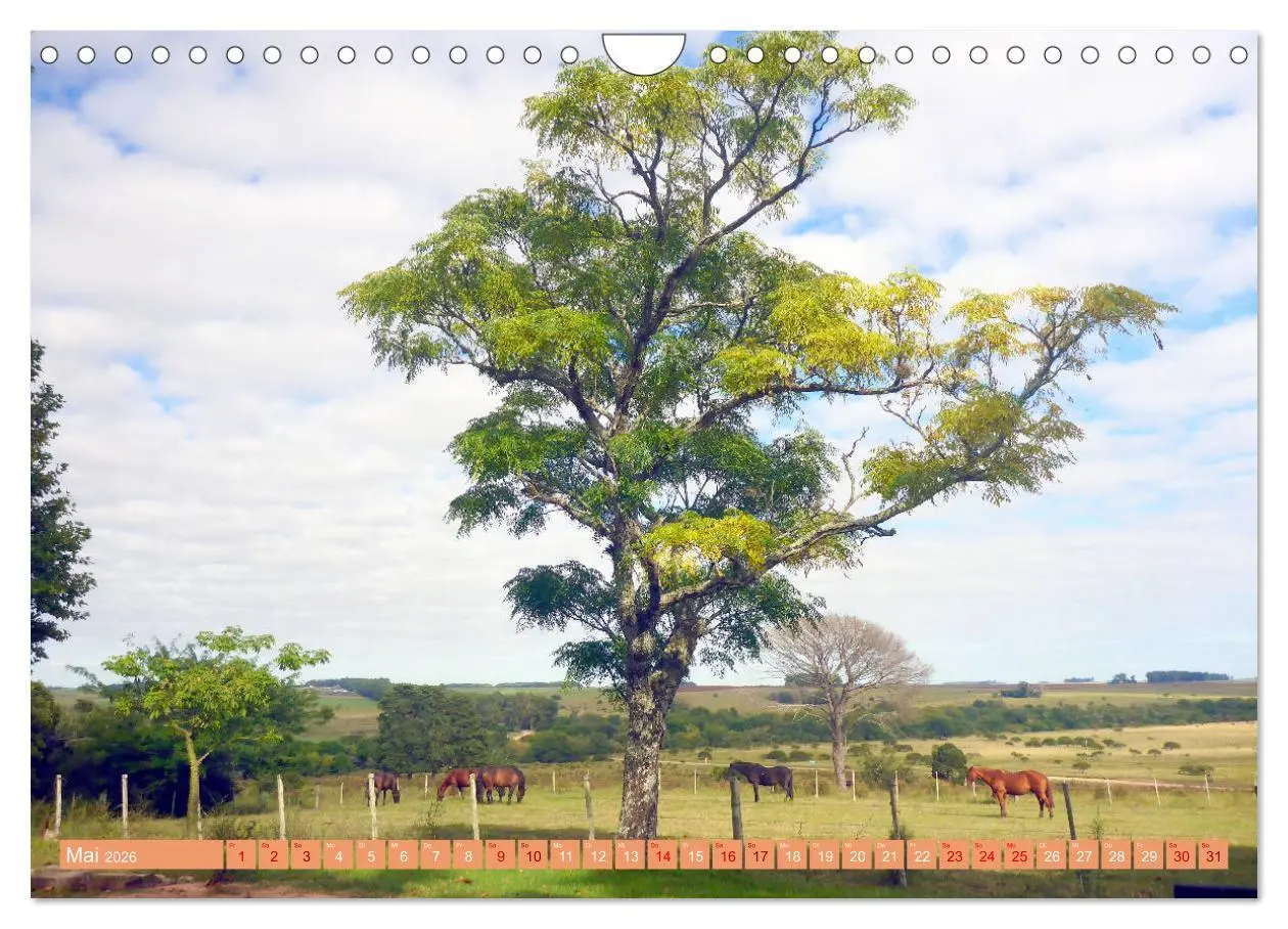 Bild: 9783457788172 | Uruguay - Bienvenido al Río de la Plata (Wandkalender 2026 DIN A4...