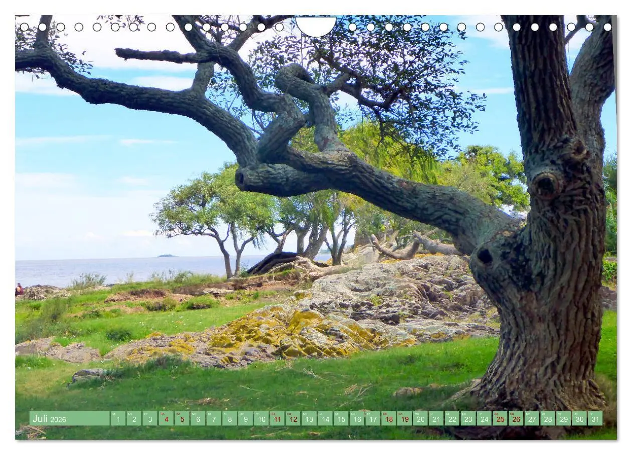 Bild: 9783457788172 | Uruguay - Bienvenido al Río de la Plata (Wandkalender 2026 DIN A4...